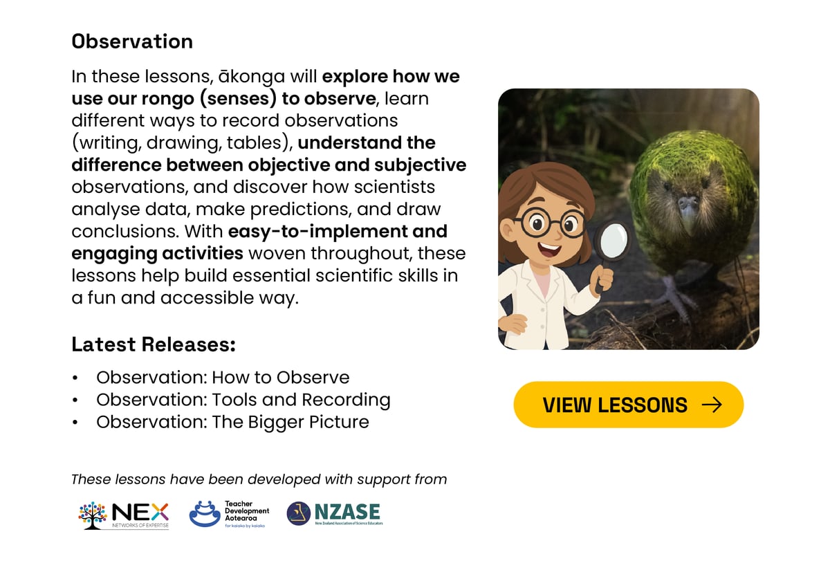 Observation Lessons
